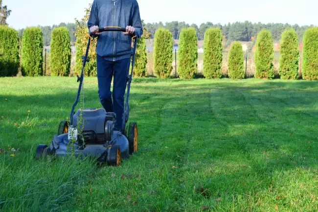 Can you mow wet grass in Gresham, OR