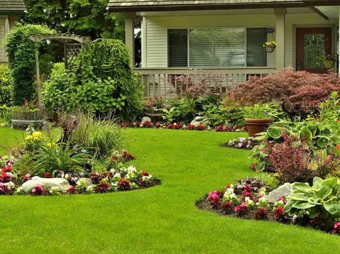 How to clean a backyard in Gresham, OR