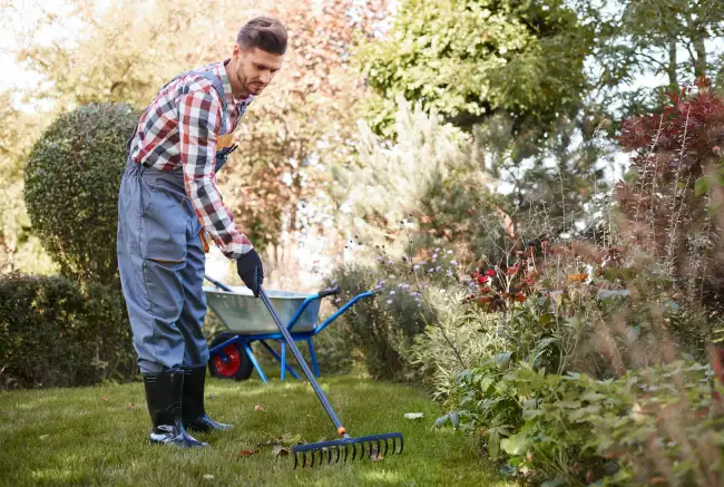 How to clear a yard full of weeds in Gresham, OR