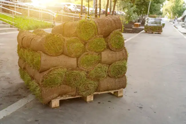 How to lay sod over existing lawn in Gresham, OR