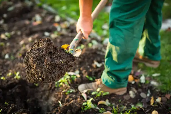 Affordable mulching in Gresham, OR