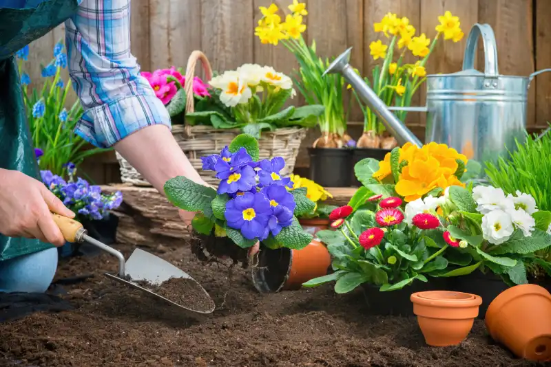 Professional mulching in Gresham, OR