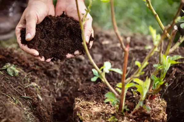 Mulching