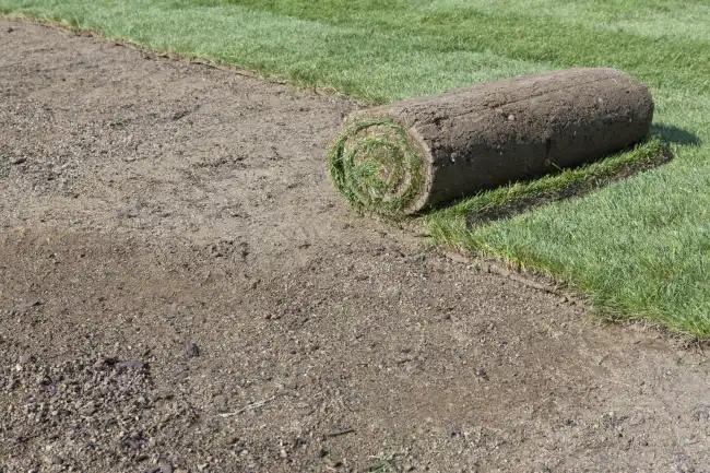 Affordable sod installation in Gresham, OR