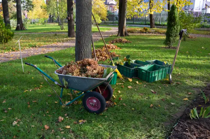 Professional yard cleanup in Gresham, OR