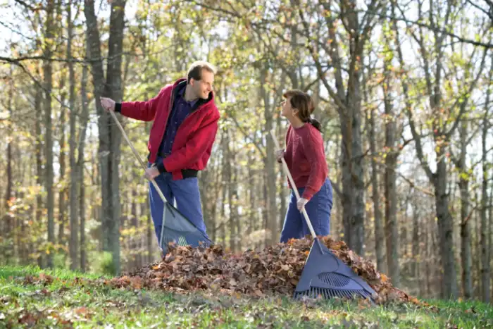 Outstanding yard cleanup in Gresham, OR