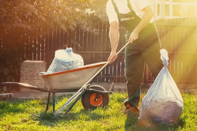 Affordable yard cleanup in Gresham, OR